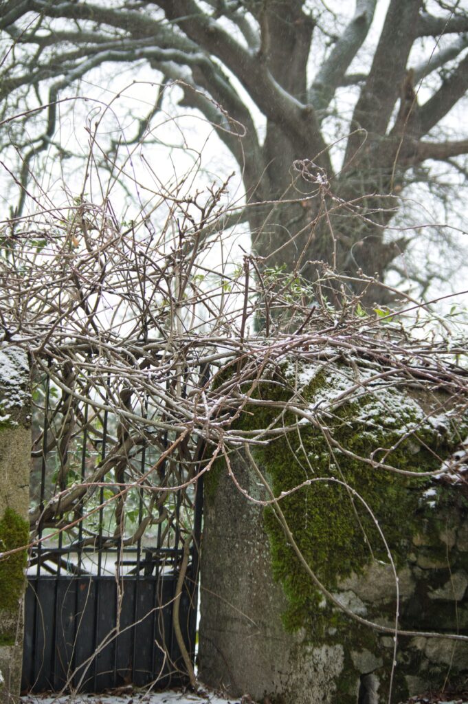 Gate