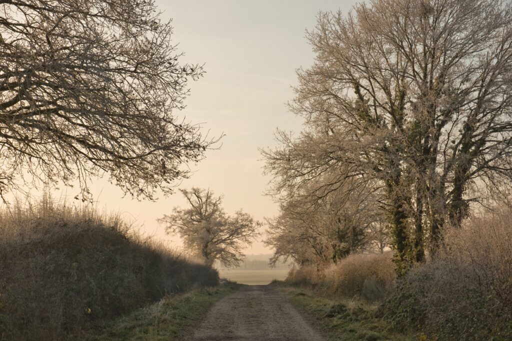 Road to Haut Vienne